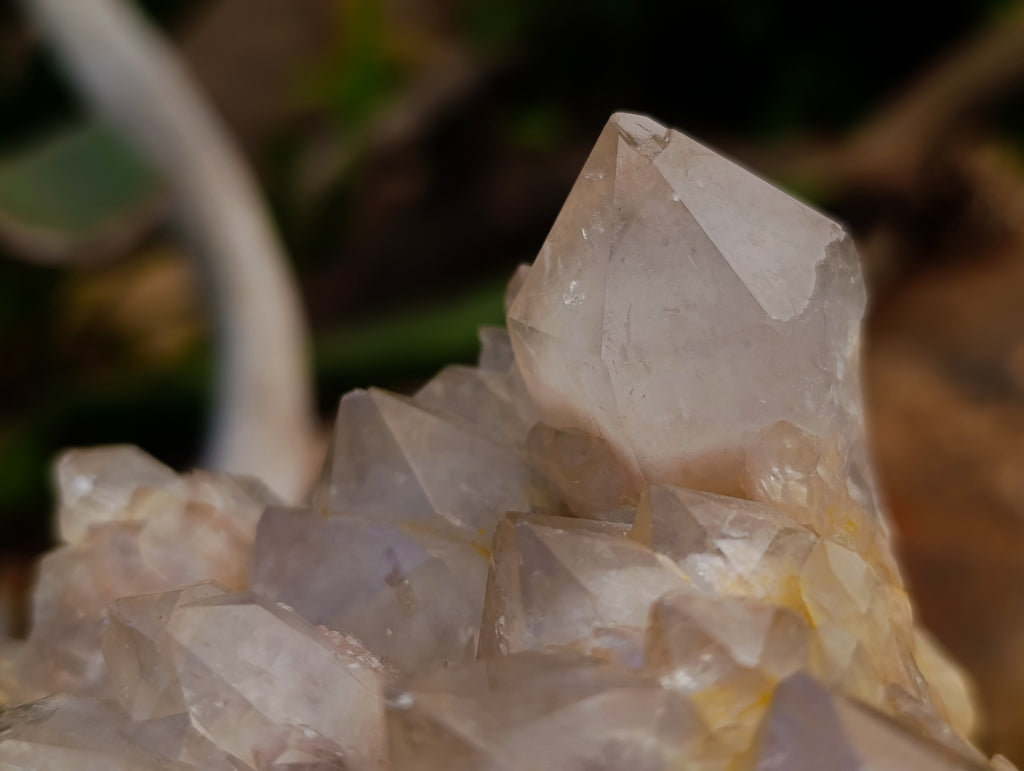 Natural Selected Luena Smokey Phantom Quartz Clusters x 2 From Congo - Toprock Gemstones and Minerals 