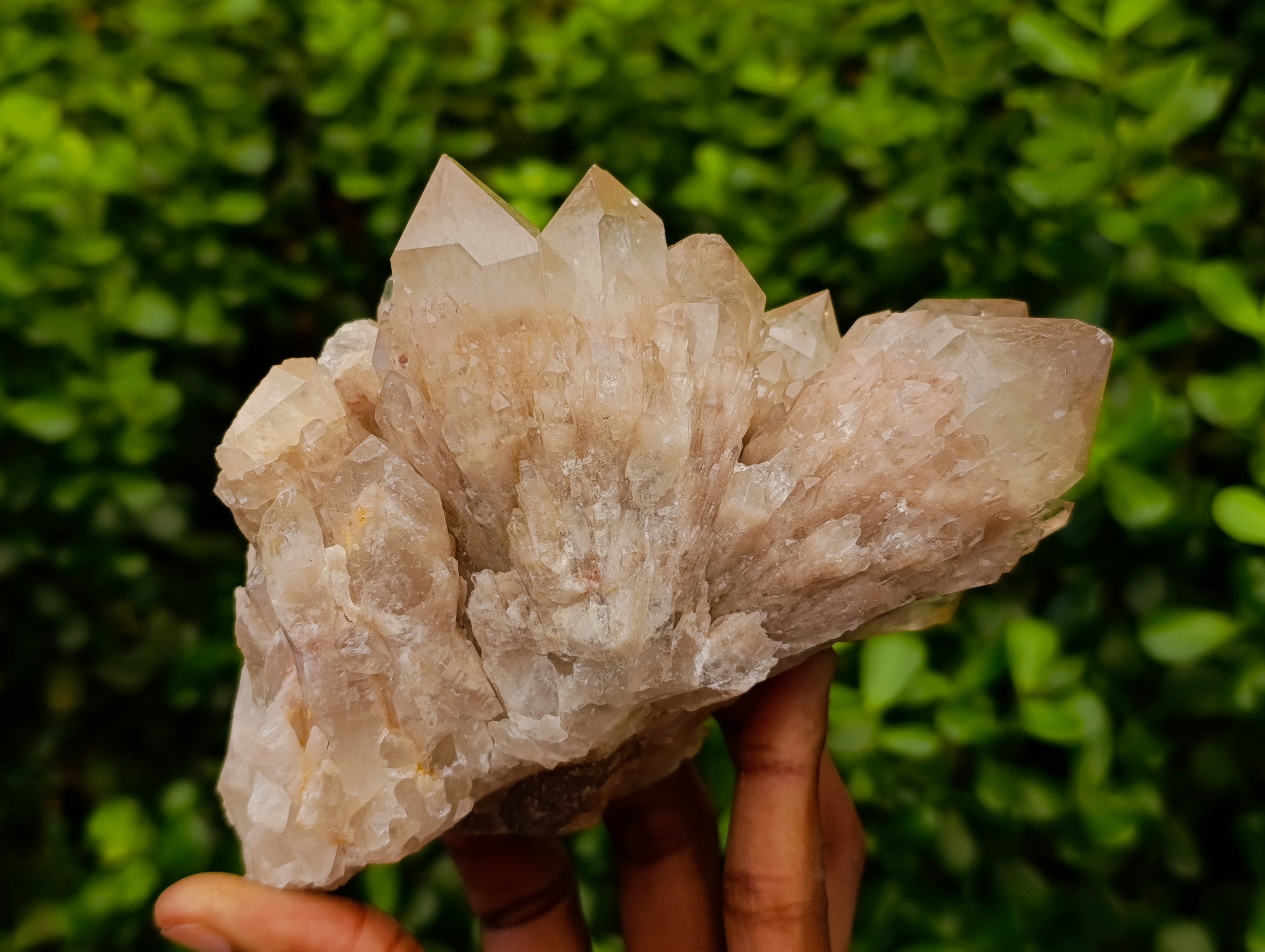 Natural Selected Luena Smokey Phantom Quartz Clusters x 2 From Congo - Toprock Gemstones and Minerals 