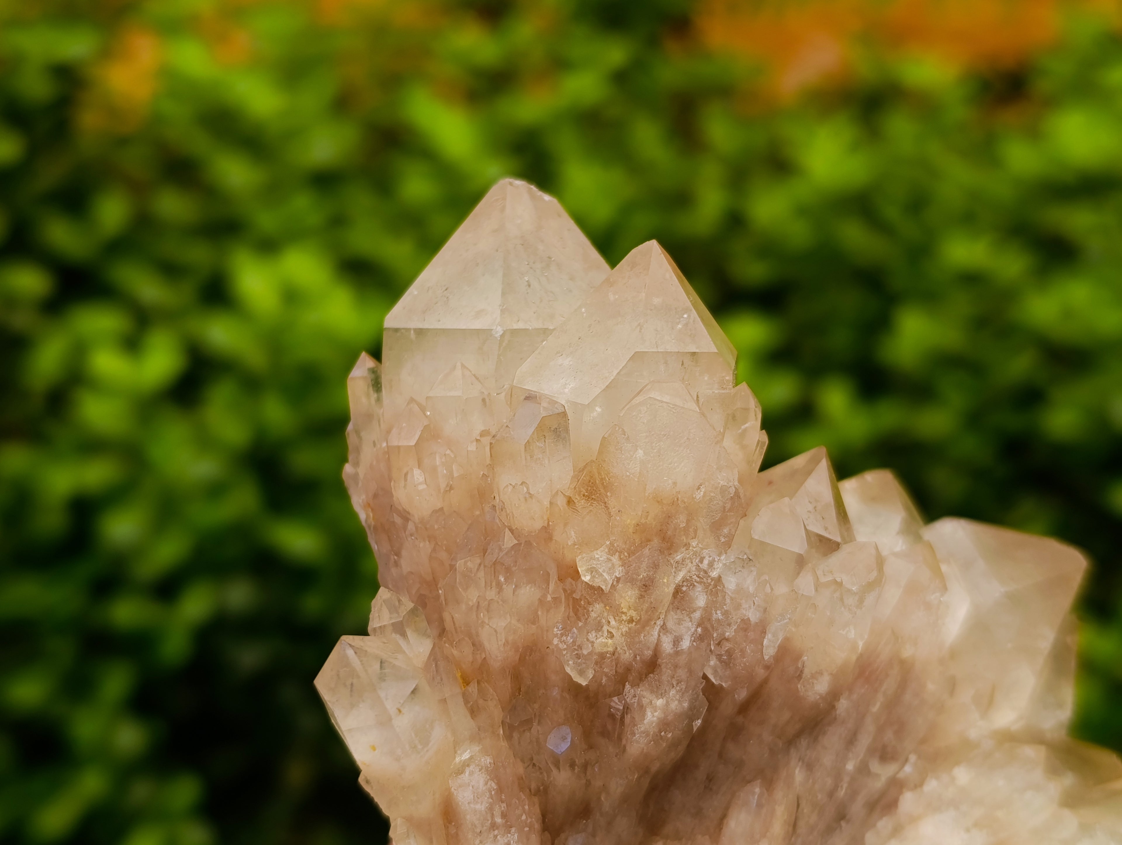 Natural Selected Luena Smokey Phantom Quartz Clusters x 2 From Congo - Toprock Gemstones and Minerals 