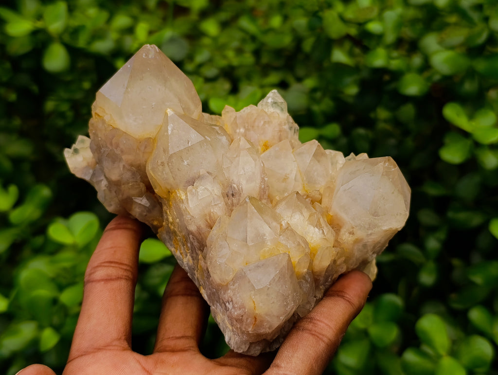 Natural Selected Luena Smokey Phantom Quartz Clusters x 2 From Congo - Toprock Gemstones and Minerals 