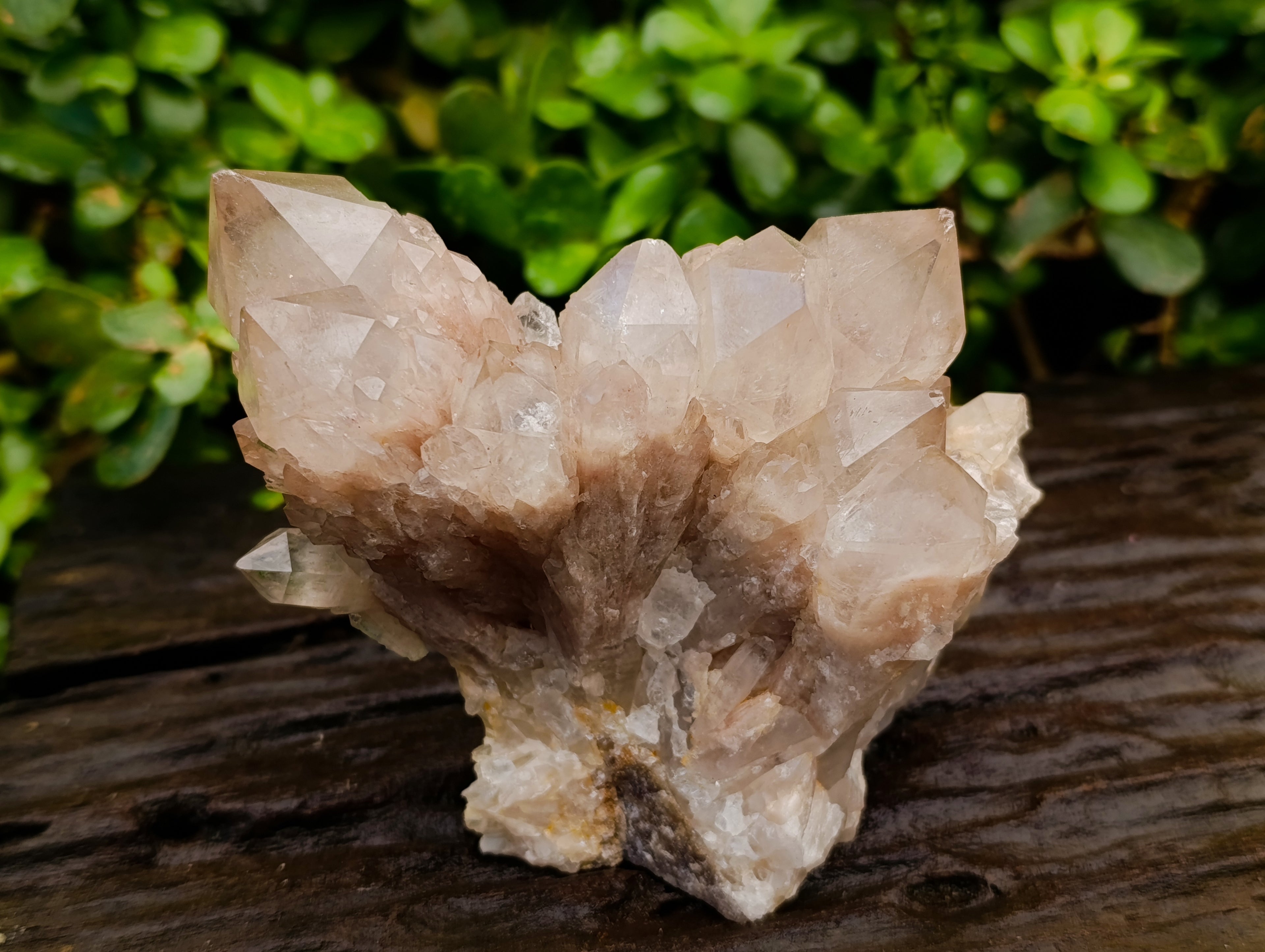 Natural Selected Luena Smokey Phantom Quartz Clusters x 2 From Congo - Toprock Gemstones and Minerals 