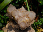 Natural Selected Luena Smokey Phantom Quartz Clusters x 2 From Congo - Toprock Gemstones and Minerals 