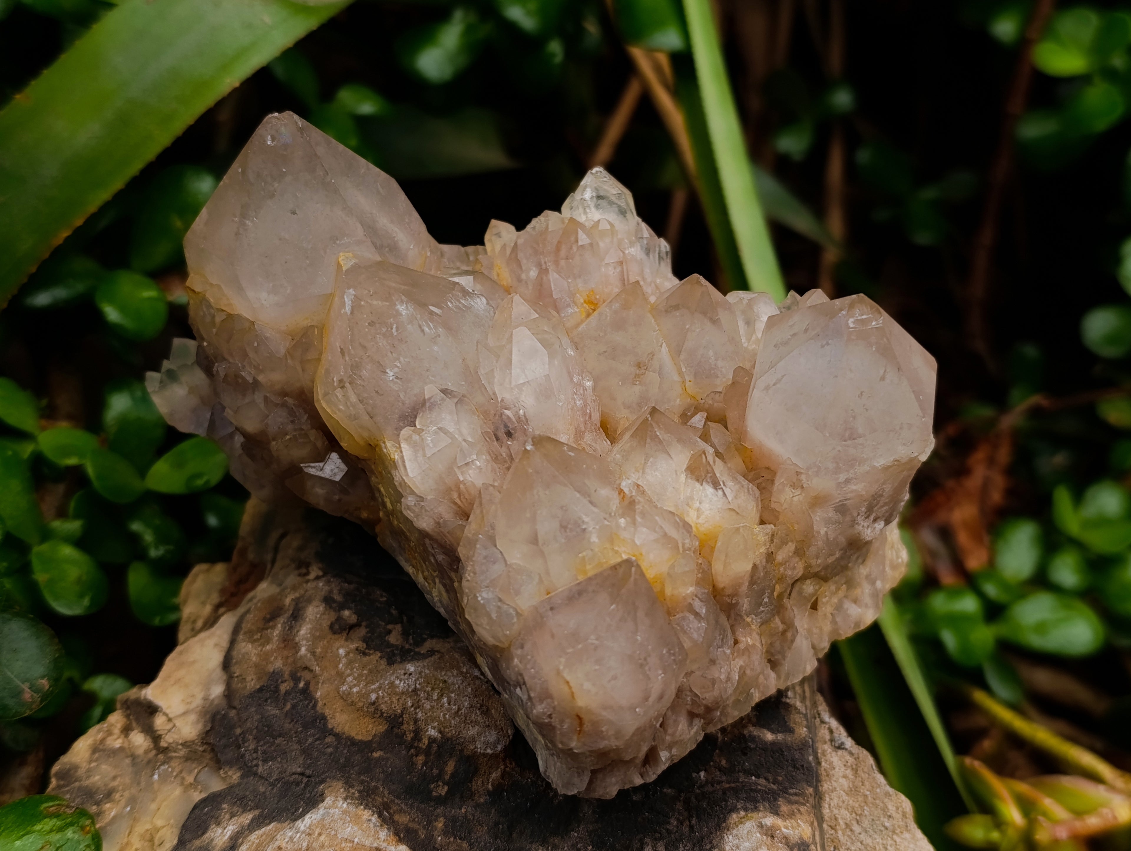 Natural Selected Luena Smokey Phantom Quartz Clusters x 2 From Congo - Toprock Gemstones and Minerals 