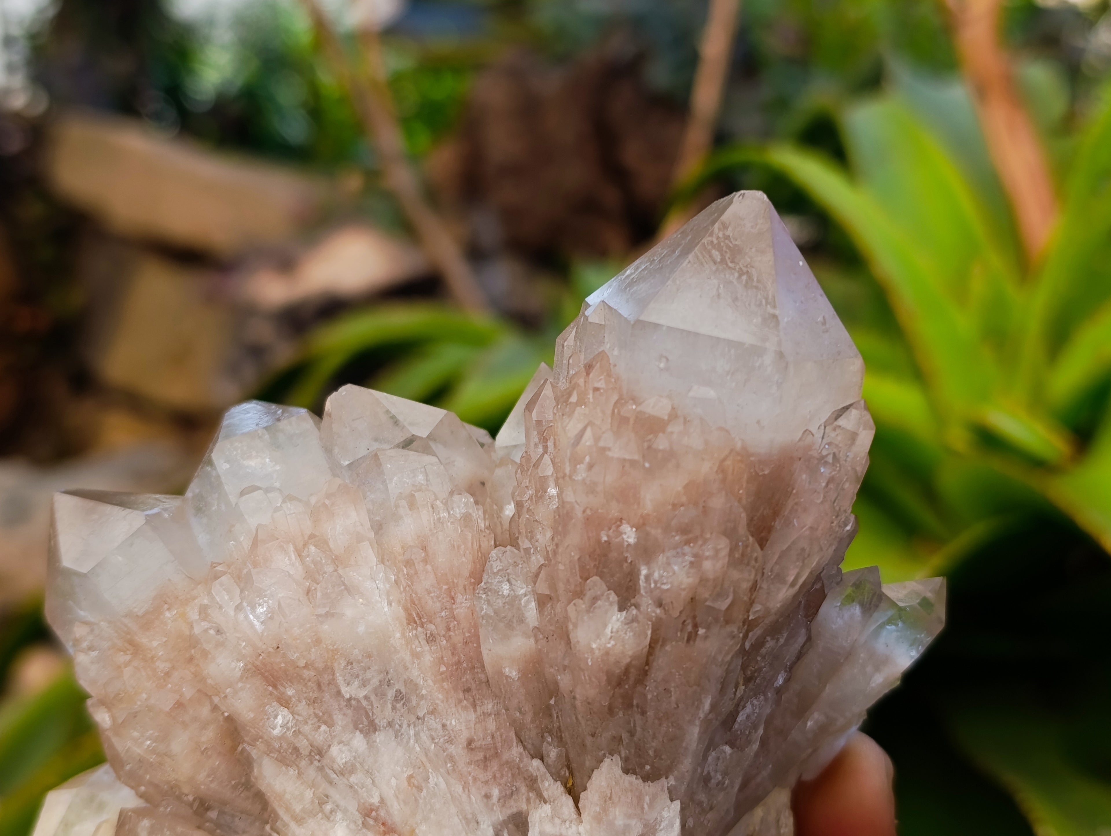 Natural Selected Luena Smokey Phantom Quartz Clusters x 2 From Congo - Toprock Gemstones and Minerals 