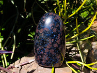 Polished Blue Iolite, Water Sapphire Standing Free Form And Point x 2 From Madagascar