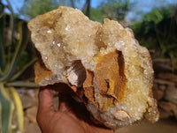 Natural Limonite Quartz Cluster x 1 From Solwezi, Zambia