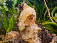 Natural Limonite Quartz Cluster x 1 From Solwezi, Zambia