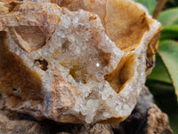Natural Limonite Quartz Cluster x 1 From Solwezi, Zambia