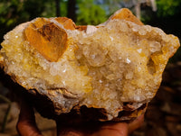 Natural Limonite Quartz Cluster x 1 From Solwezi, Zambia