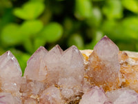 Natural Spirit Amethyst Quartz Clusters And One Limonite Yellow White Cluster x 6 From Boekenhouthoek, South Africa