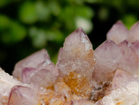 Natural Spirit Amethyst Quartz Clusters And One Limonite Yellow White Cluster x 6 From Boekenhouthoek, South Africa