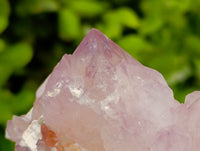Natural Spirit Amethyst Quartz Clusters And One Limonite Yellow White Cluster x 6 From Boekenhouthoek, South Africa