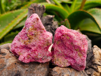Natural Rhodonite Cobbed Specimens x 12 From Rhusinga, Zimbabwe