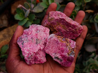 Natural Rhodonite Cobbed Specimens x 12 From Rhusinga, Zimbabwe