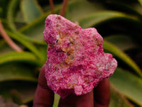 Natural Rhodonite Cobbed Specimens x 12 From Rhusinga, Zimbabwe
