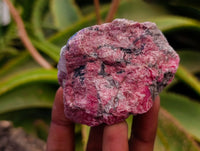 Natural Rhodonite Cobbed Specimens x 12 From Rhusinga, Zimbabwe