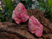 Natural Rhodonite Cobbed Specimens x 12 From Rhusinga, Zimbabwe