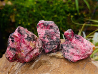 Natural Rhodonite Cobbed Specimens x 12 From Rhusinga, Zimbabwe