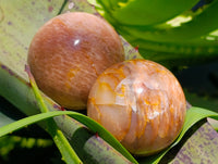 Polished Runestone Feldspar Spheres x 6 From Zimbabwe