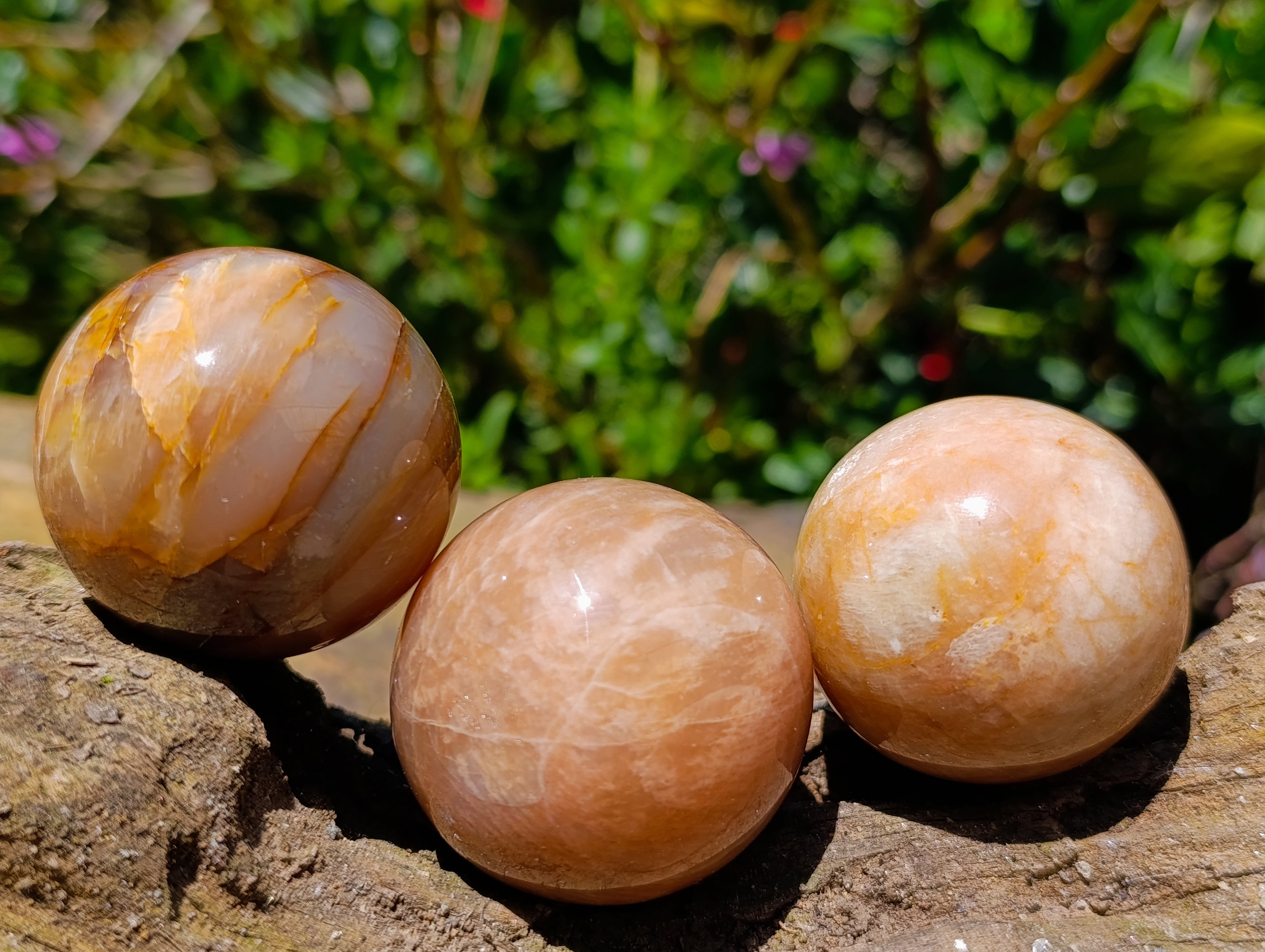 Polished Runestone Feldspar Spheres x 6 From Zimbabwe - Toprock Gemstones and Minerals 