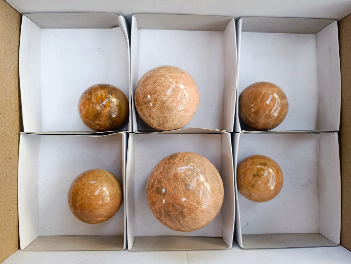 Polished Runestone Feldspar Spheres x 6 From Zimbabwe - Toprock Gemstones and Minerals 