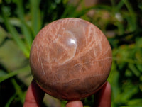 Polished Runestone Feldspar Spheres x 6 From Zimbabwe