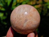 Polished Runestone Feldspar Spheres x 6 From Zimbabwe