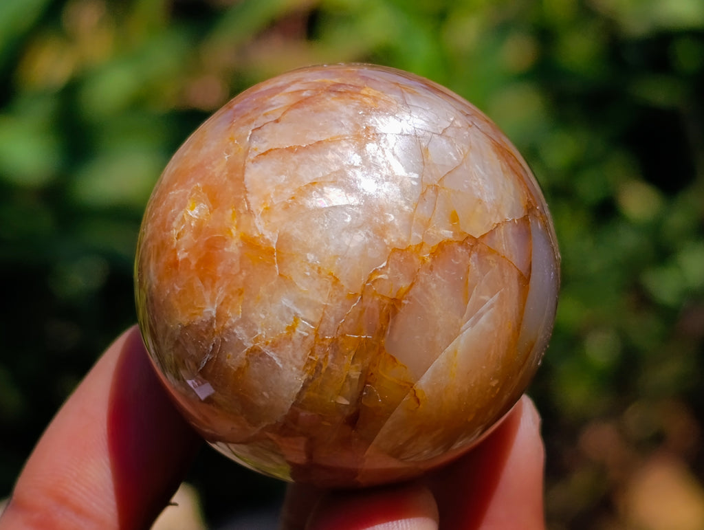 Polished Runestone Feldspar Spheres x 6 From Zimbabwe - Toprock Gemstones and Minerals 