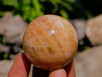 Polished Runestone Feldspar Spheres x 6 From Zimbabwe