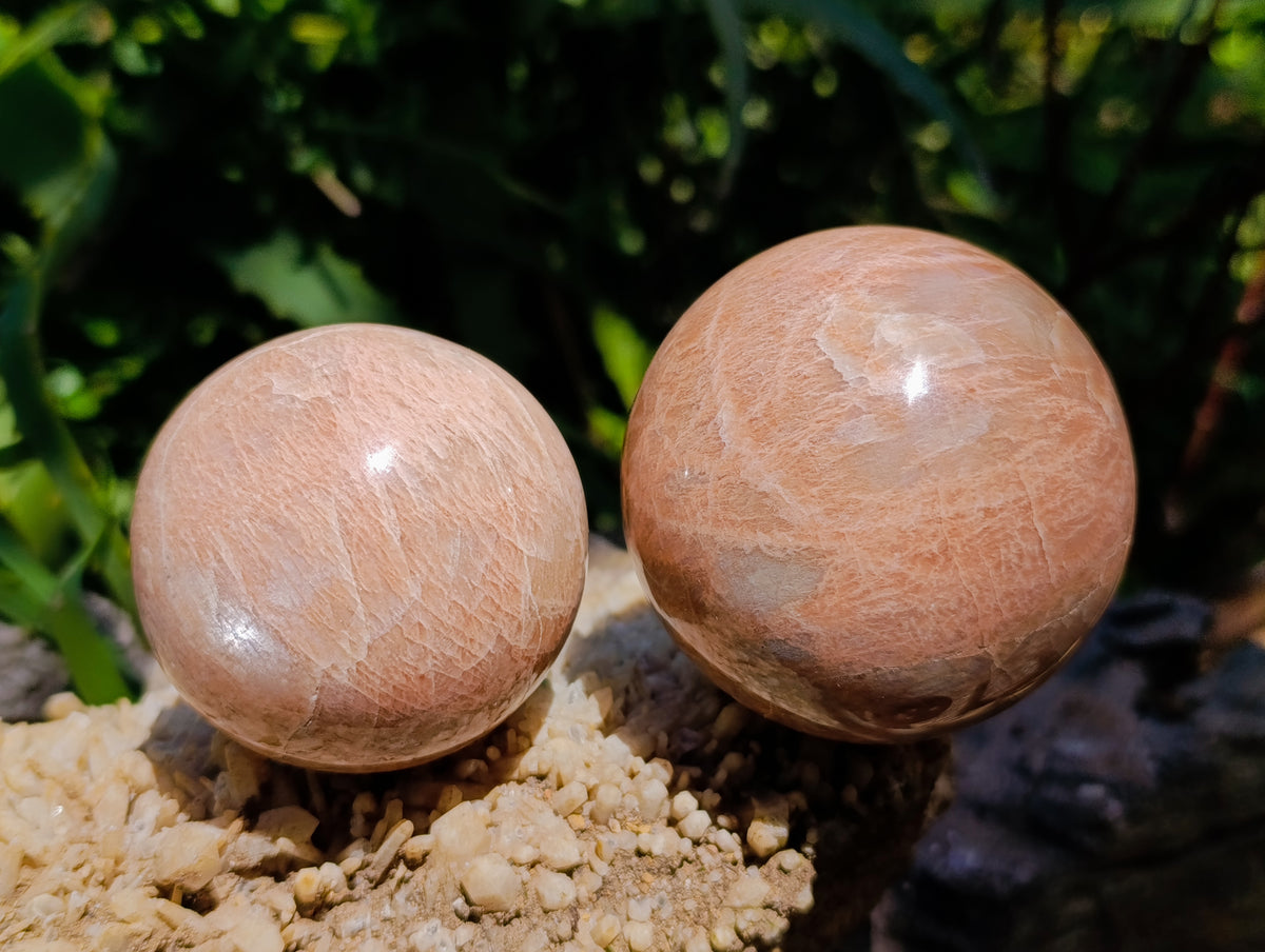 Polished Runestone Feldspar Spheres x 6 From Zimbabwe - Toprock Gemstones and Minerals 