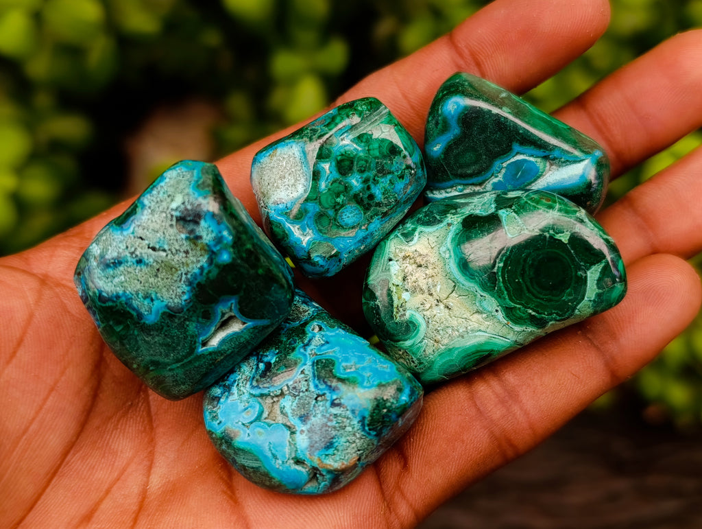 Polished Malacolla Free Forms x 35 From Kulukuluku, Congo - Toprock Gemstones and Minerals 