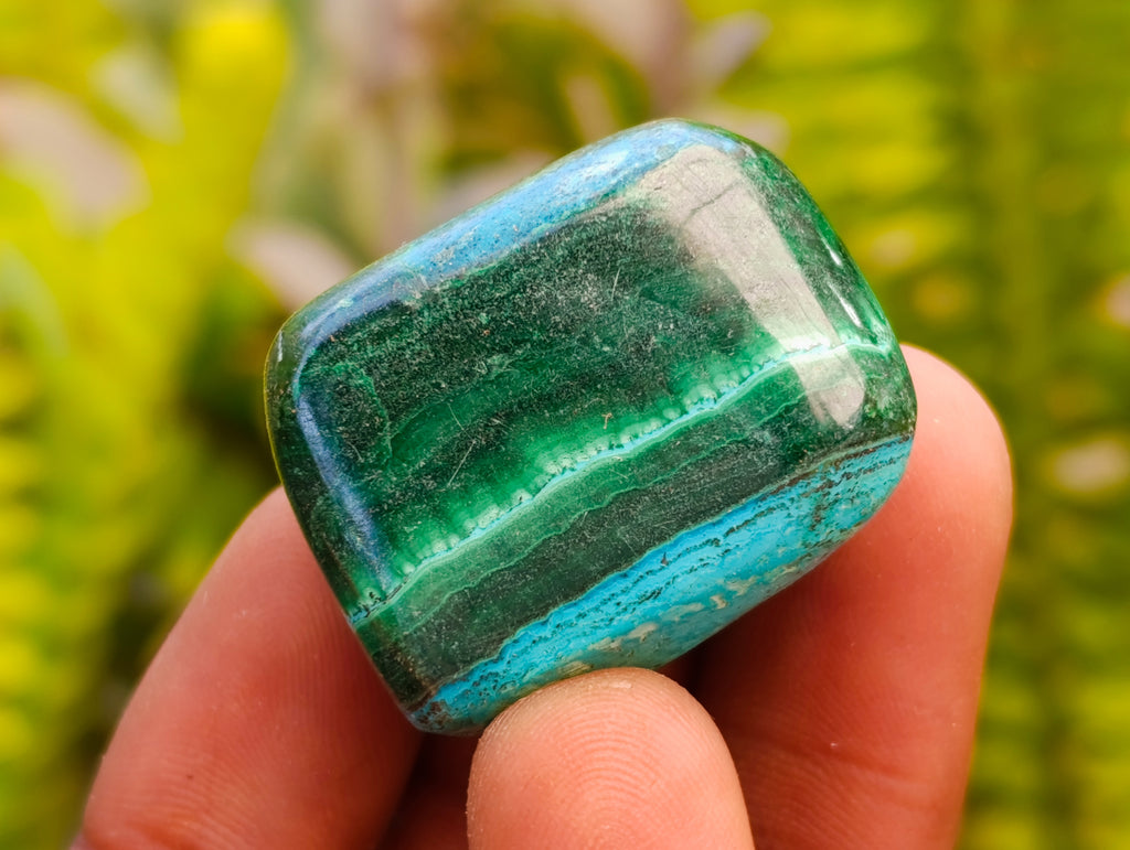Polished Malacolla Free Forms x 35 From Kulukuluku, Congo - Toprock Gemstones and Minerals 