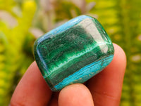 Polished Malacolla Free Forms x 35 From Kulukuluku, Congo