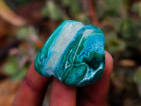 Polished Malacolla Free Forms x 35 From Kulukuluku, Congo