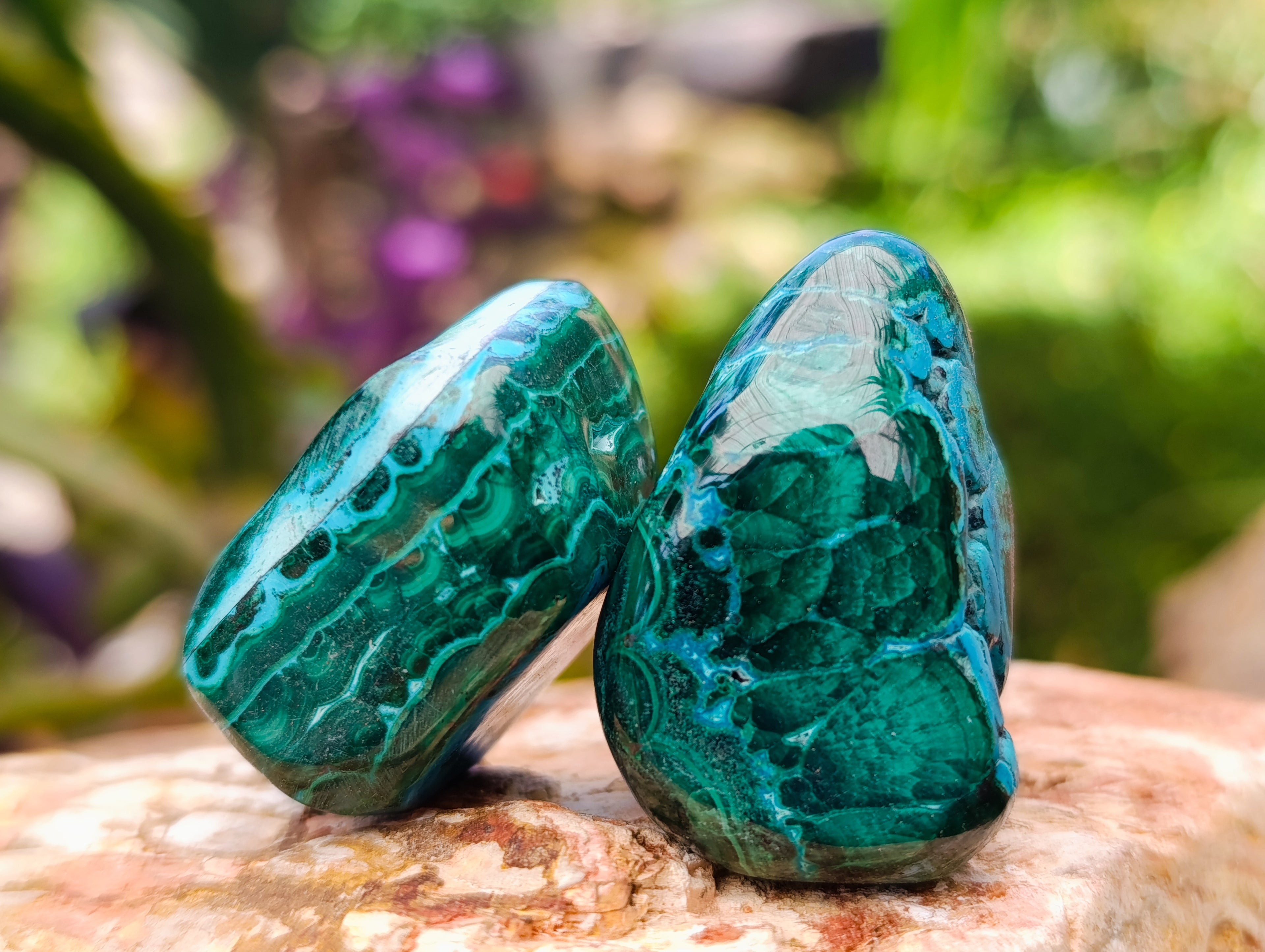 Polished Malacolla Free Forms x 35 From Kulukuluku, Congo - Toprock Gemstones and Minerals 