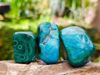 Polished Malacolla Free Forms x 35 From Kulukuluku, Congo