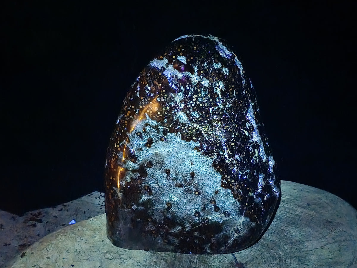 Polished XXL Ocean Jasper Standing Free Form x 1 From Madagascar - Toprock Gemstones and Minerals 