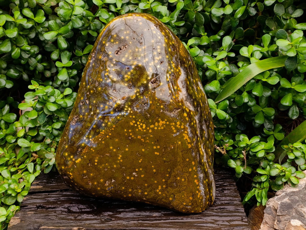 Polished XXL Ocean Jasper Standing Free Form x 1 From Madagascar - Toprock Gemstones and Minerals 