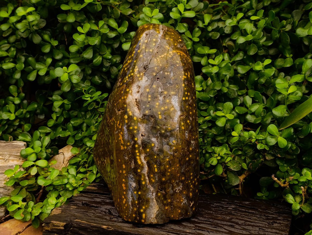Polished XXL Ocean Jasper Standing Free Form x 1 From Madagascar - Toprock Gemstones and Minerals 