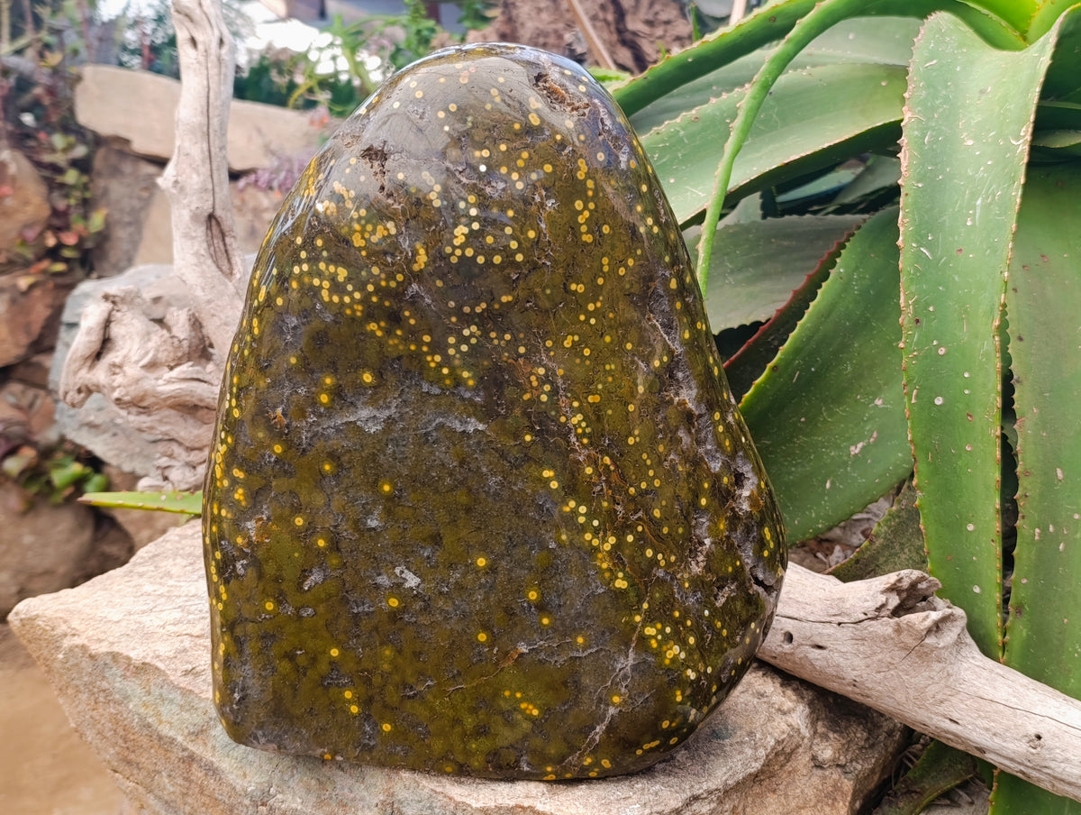 Polished XXL Ocean Jasper Standing Free Form x 1 From Madagascar - Toprock Gemstones and Minerals 