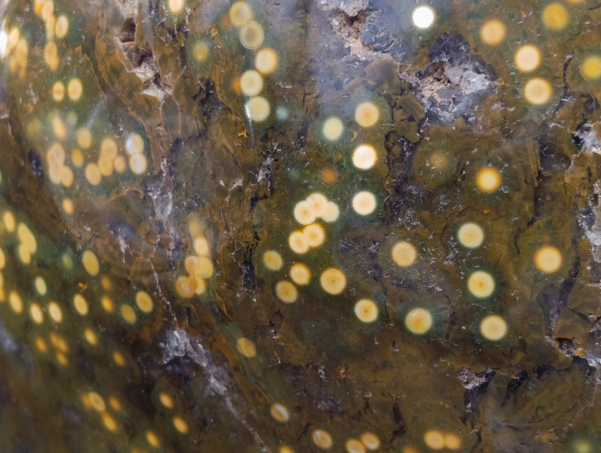 Polished XXL Ocean Jasper Standing Free Form x 1 From Madagascar - Toprock Gemstones and Minerals 