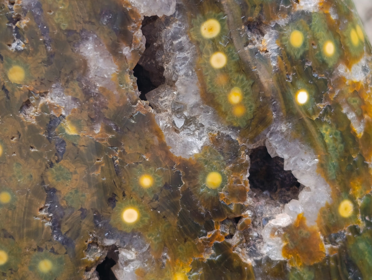Polished XXL Ocean Jasper Standing Free Form x 1 From Madagascar - Toprock Gemstones and Minerals 