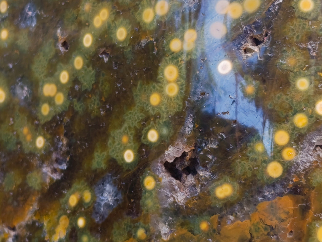 Polished XXL Ocean Jasper Standing Free Form x 1 From Madagascar - Toprock Gemstones and Minerals 