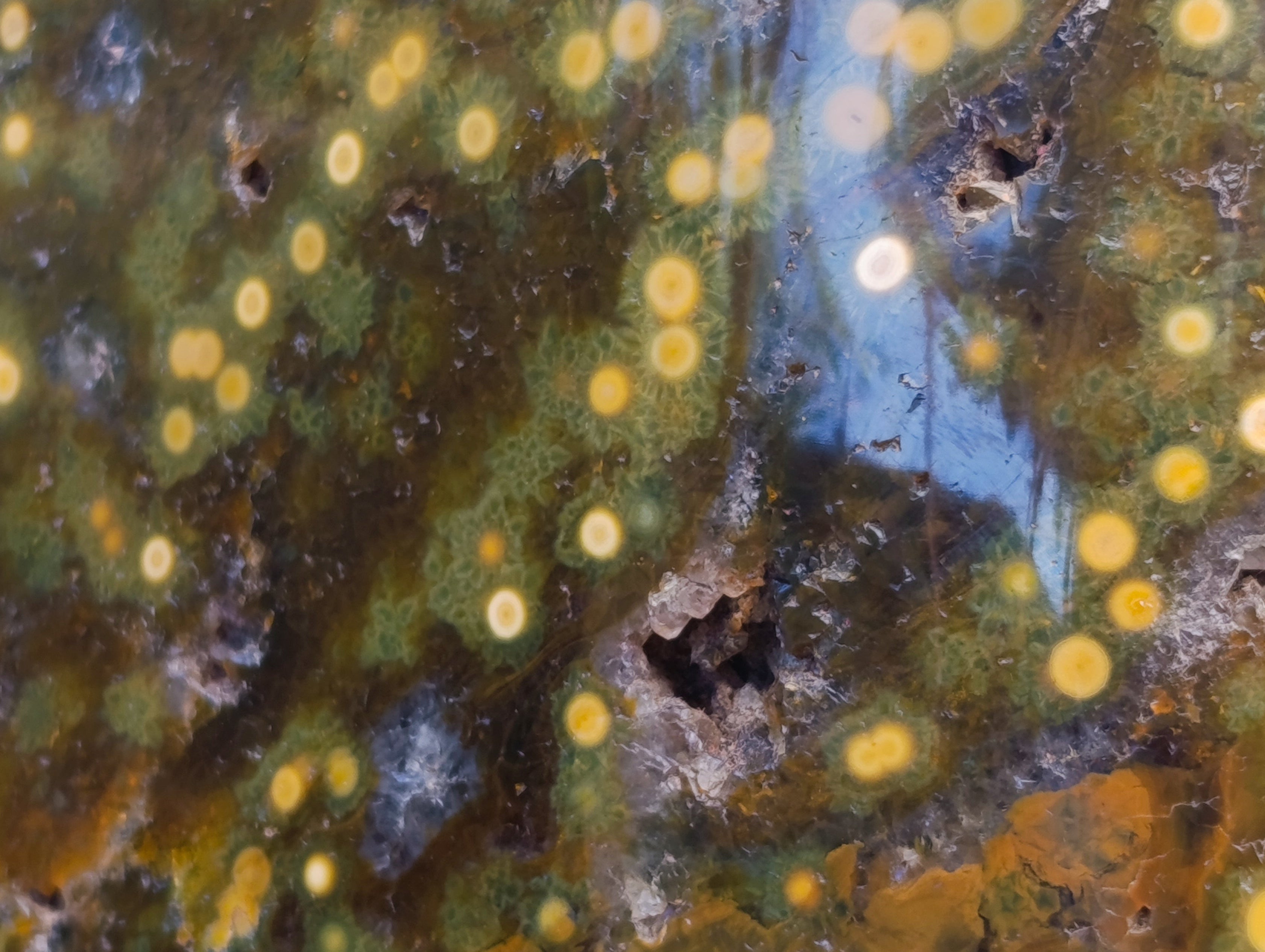 Polished XXL Ocean Jasper Standing Free Form x 1 From Madagascar - Toprock Gemstones and Minerals 