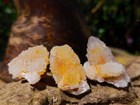 Natural Golden White Spirit Quartz Clusters And Crystals x 35 From Boekenhouthoek, South Africa