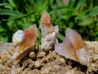 Natural Golden White Spirit Quartz Clusters And Crystals x 35 From Boekenhouthoek, South Africa