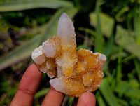 Natural Golden White Spirit Quartz Clusters And Crystals x 35 From Boekenhouthoek, South Africa