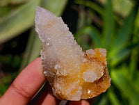 Natural Golden White Spirit Quartz Clusters And Crystals x 35 From Boekenhouthoek, South Africa