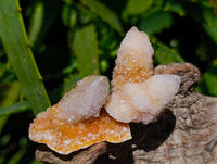 Natural Golden White Spirit Quartz Clusters And Crystals x 35 From Boekenhouthoek, South Africa