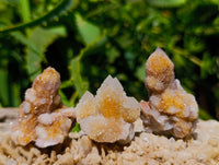 Natural Golden White Spirit Quartz Clusters And Crystals x 35 From Boekenhouthoek, South Africa